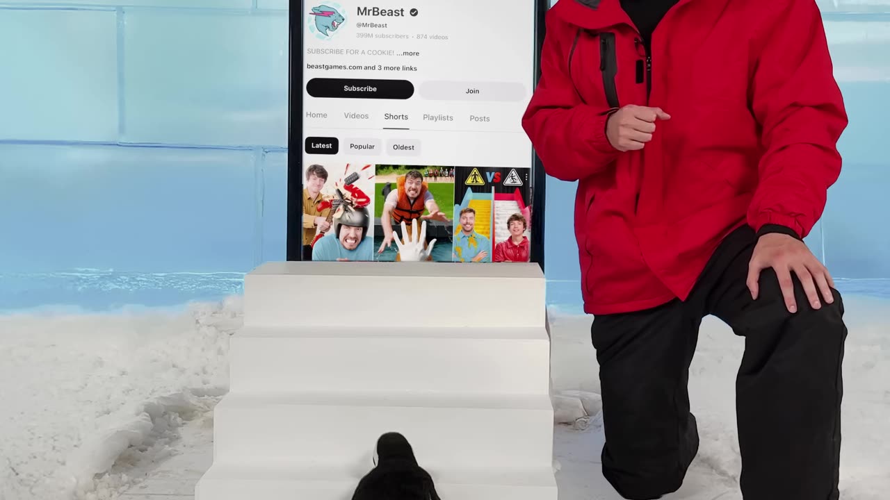 Can I Teach a Penguin To Subscribe