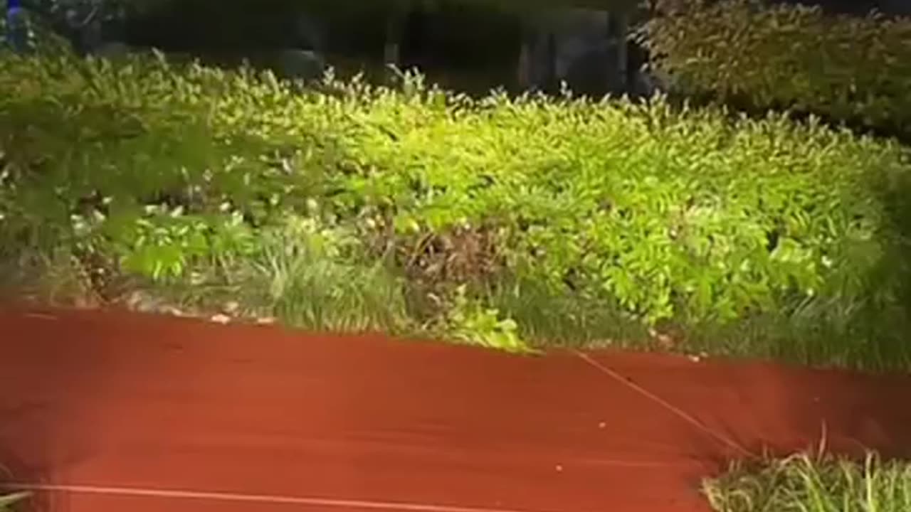 😂😂😂