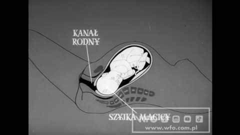 Będę matką (1960) film dokumentalny