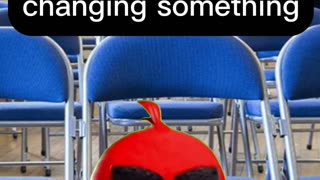 Small Town Board Meeting!