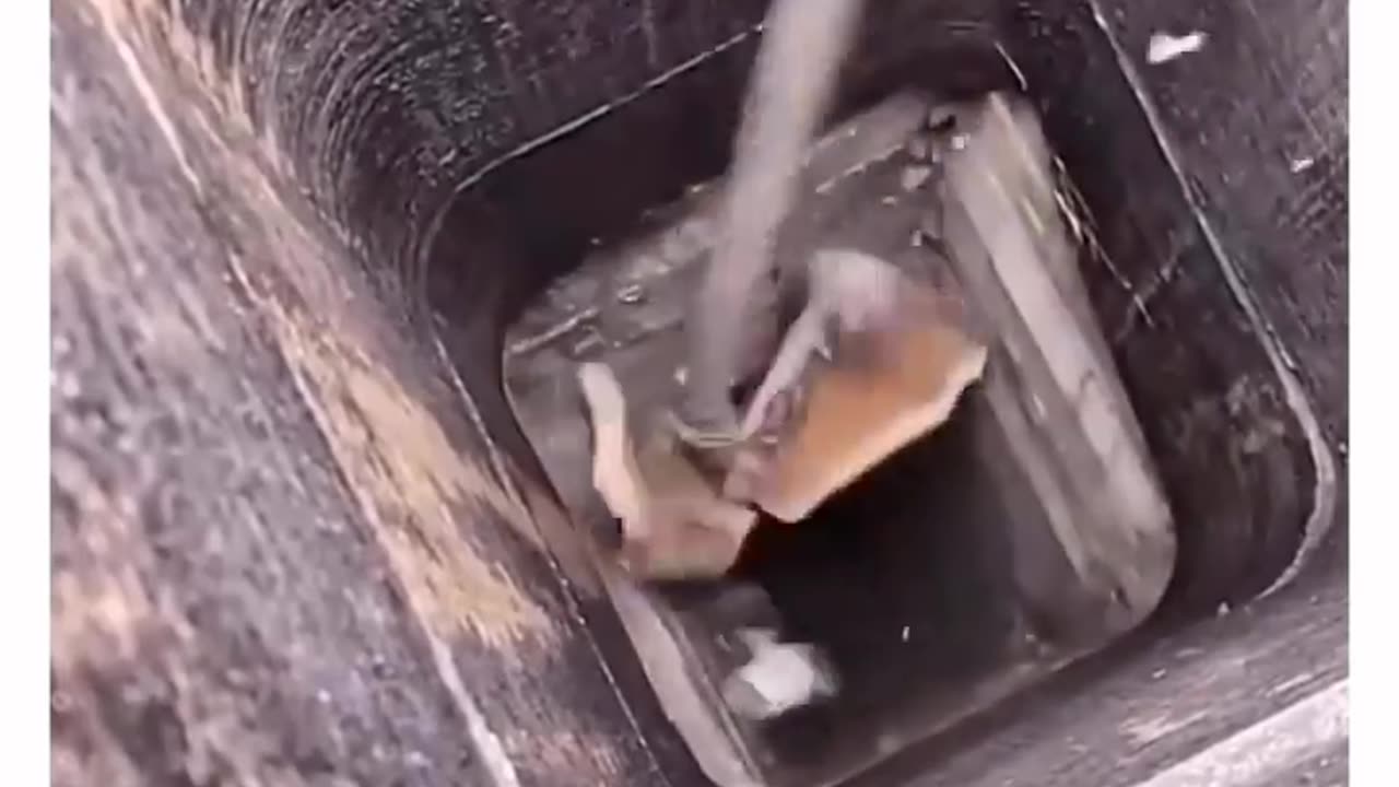 ✨🔥 How Chimney Tiles Break - The Science Revealed! | FeedMyCuriosity