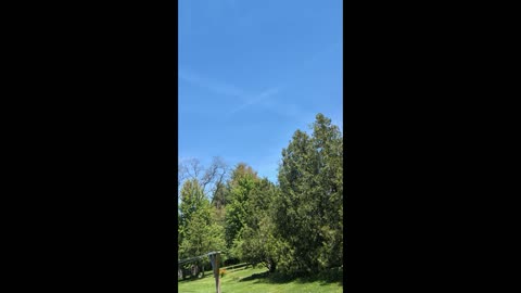 Do It Yourself Chemtrail/Contrail Removal - DIY Chemtrail/Contrail Extermination