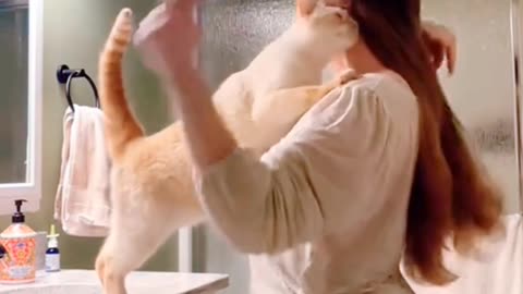 Cat Comedy Chaos|☺️😊🤣🤣🤣