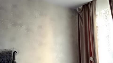 Tango Live Streaming Channel