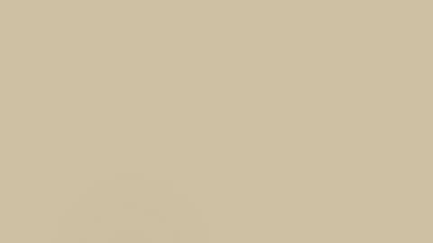 L'ordre d'un lion capricieux - Huhito Fables-Version française Vol.39