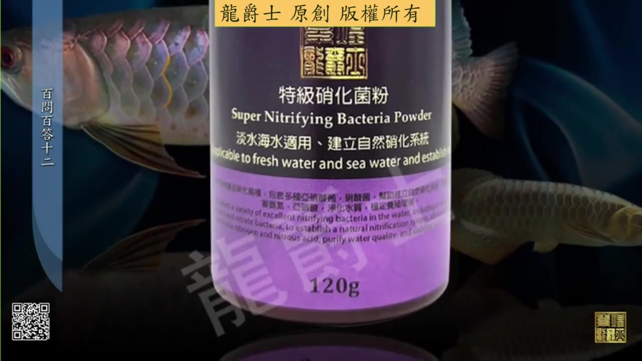 【龍爵士】千問千答 Q125 硝化菌為甚麼淡海水都適用，淡海水生物滲透壓不同，不應該通用吧