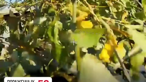 🇷🇺🛸 Ukraine Russia War | Russian FPV Drone Ops in Pokrovsk Direction | RCF