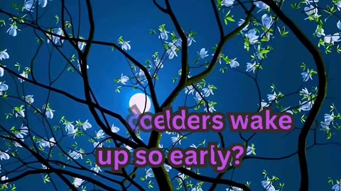 Pregnency sleepless facts#AncientWisdom 📜 #SleepBetter 😴 #OldSchoolTips 🌙 #NapTime 🛏️ #ZenMode 🧘