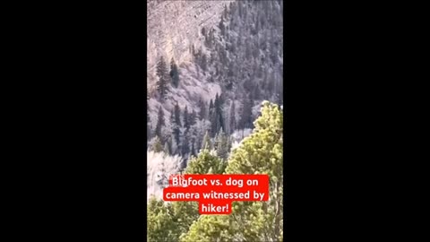 Ce Bigfoot a-t-il été surpris en train de traverser un sentier dans l'Idaho ?