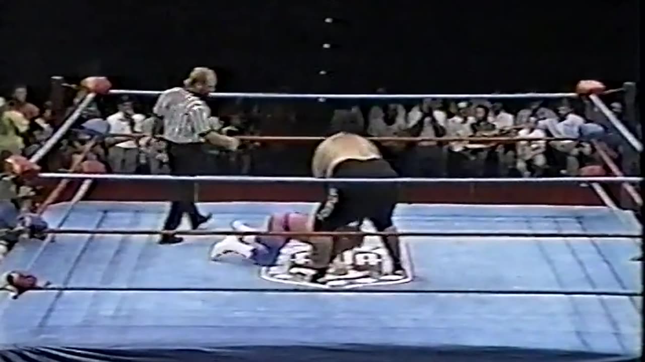 awa wrestling 1980's