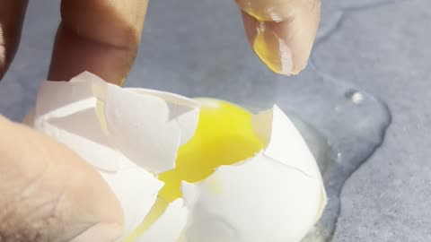 Can You Cook an Egg on Top of a Car?