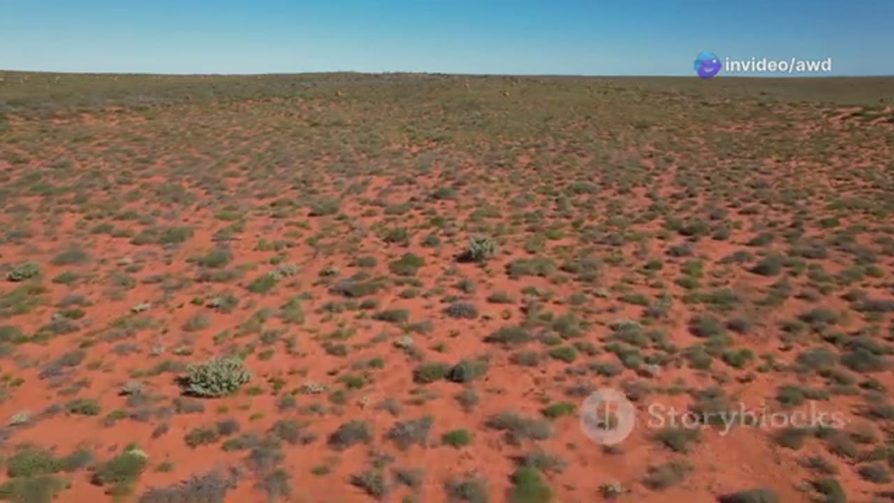 The Most Venomous Snake on Earth 🐍 | Deadly Nature Encounter