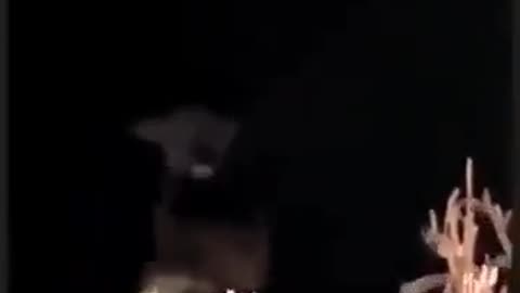 😨👾 Have You Ever Encountered the Chupacabra? | TheHauntingHour