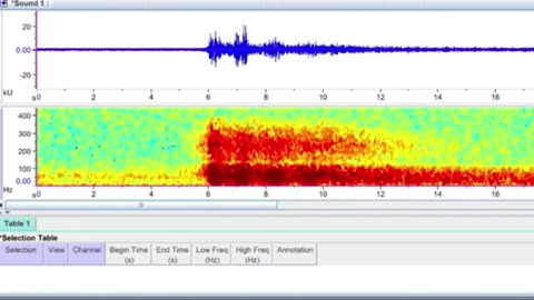 The chilling words the OceanGate CEO's wife said with a smile when she unknowingly heard the Titan sub imploding - before trying to radio down to doomed ship