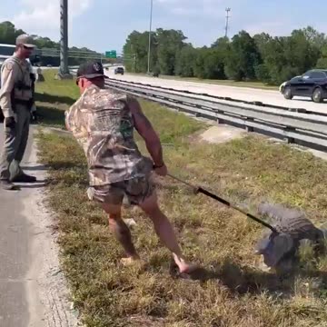 Viral Video. MMA fighter Mike Dragich Gator wrestling!