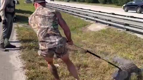 Viral Video. MMA fighter Mike Dragich Gator wrestling!