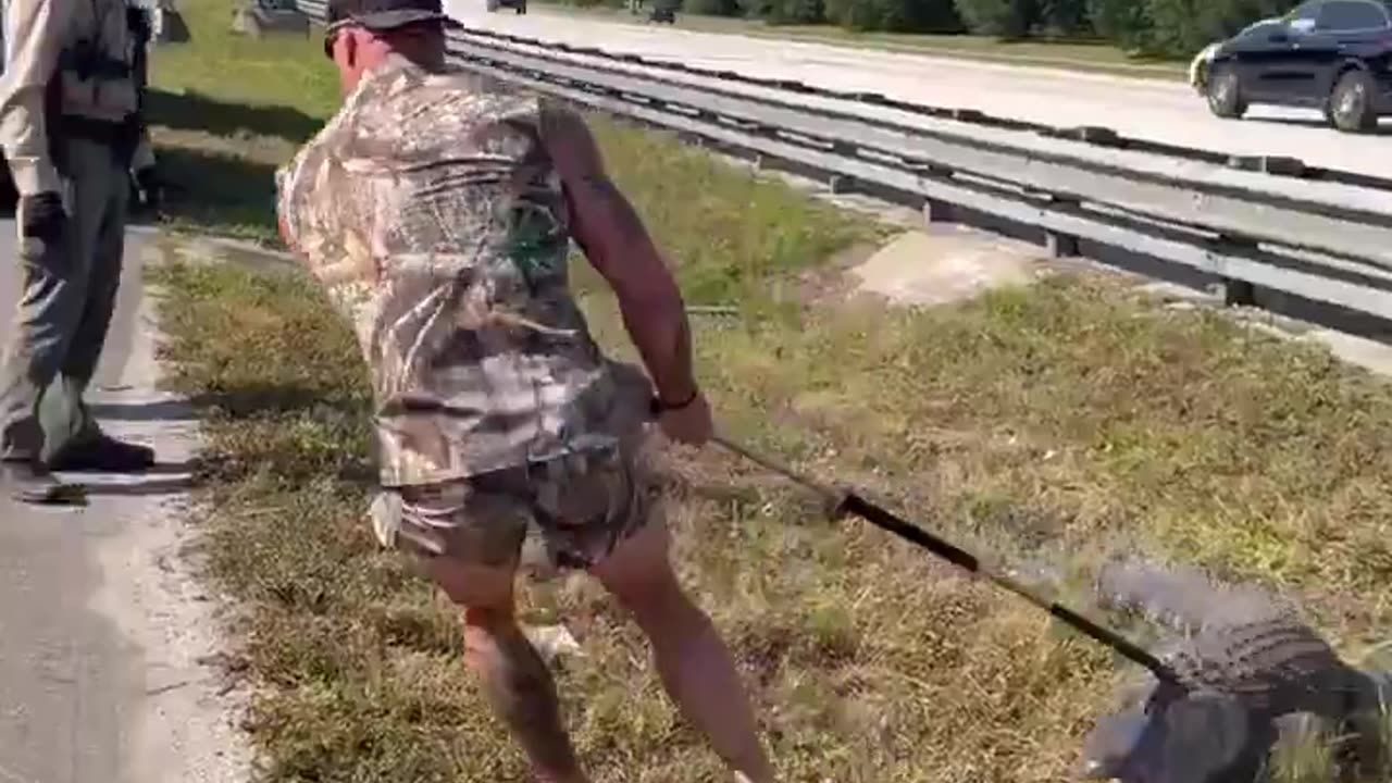 Viral Video. MMA fighter Mike Dragich Gator wrestling!