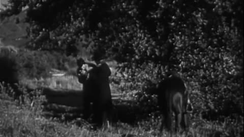 Aces And Eights (Western 1936) Tim McCoy