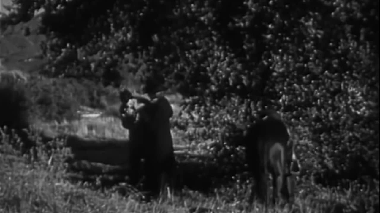 Aces And Eights (Western 1936) Tim McCoy