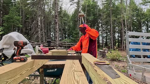 Sawmill Platform Progress|4-K|Sustainable