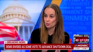 Dem Strategist Says Chuck Schumer Is 'No Longer Capable' Of Leading Democrats