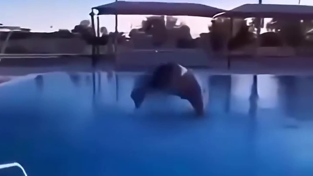 Funny Fail Moments 🤣🤣🤣 #funny #epicfail #comedy