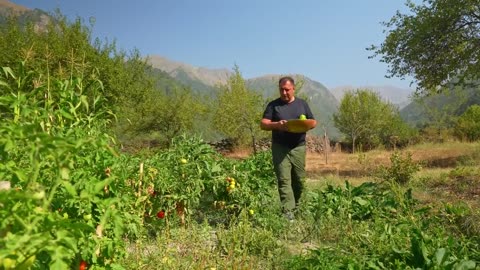 Grilled Octopus Doner Kebab – Spit-Roasted, Charcoal Finish