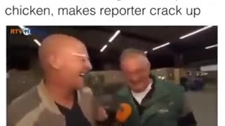 🤣😂 The Funniest Chicken Laugh You'll See Today! | FunFM