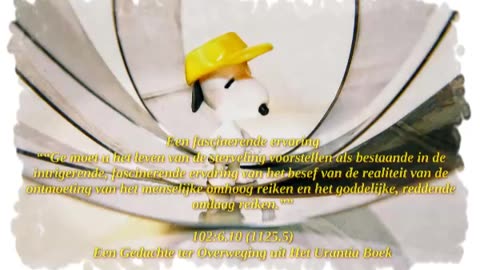 Fascinerende Ervaring