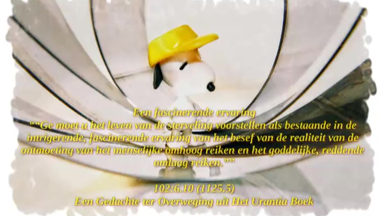 Fascinerende Ervaring