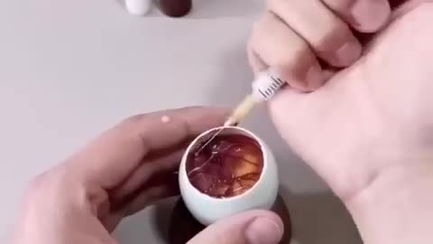 How A Chick Born From A Egg 🐣 - Interesting Video - 😱