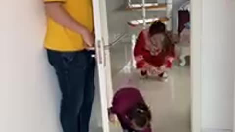 Funny video 2025
