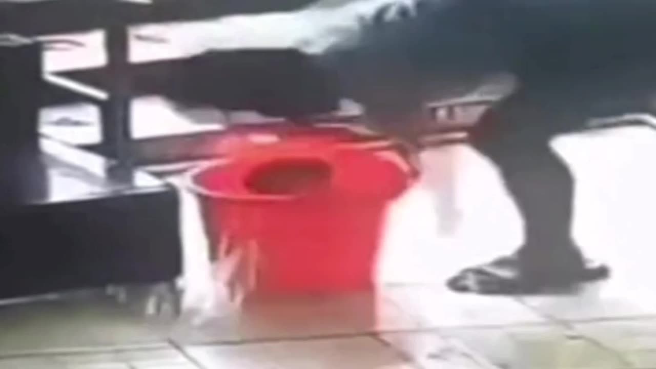 Bau