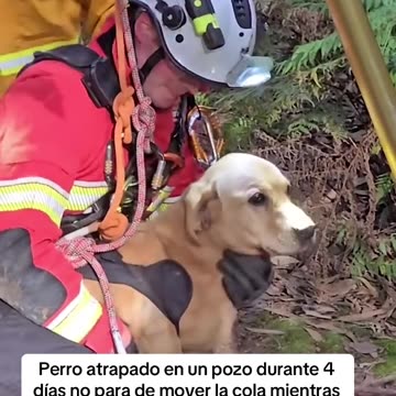 Ted estuvo atrapado 4 días en un pozo hasta que su hermana Penny lo ayudó a ser rescatado