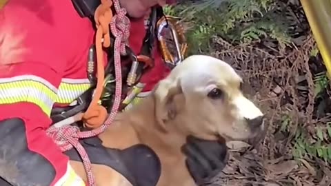 Ted estuvo atrapado 4 días en un pozo hasta que su hermana Penny lo ayudó a ser rescatado