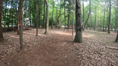 Pier Cove Paradise -- Inner Loop ... Summer of 2025