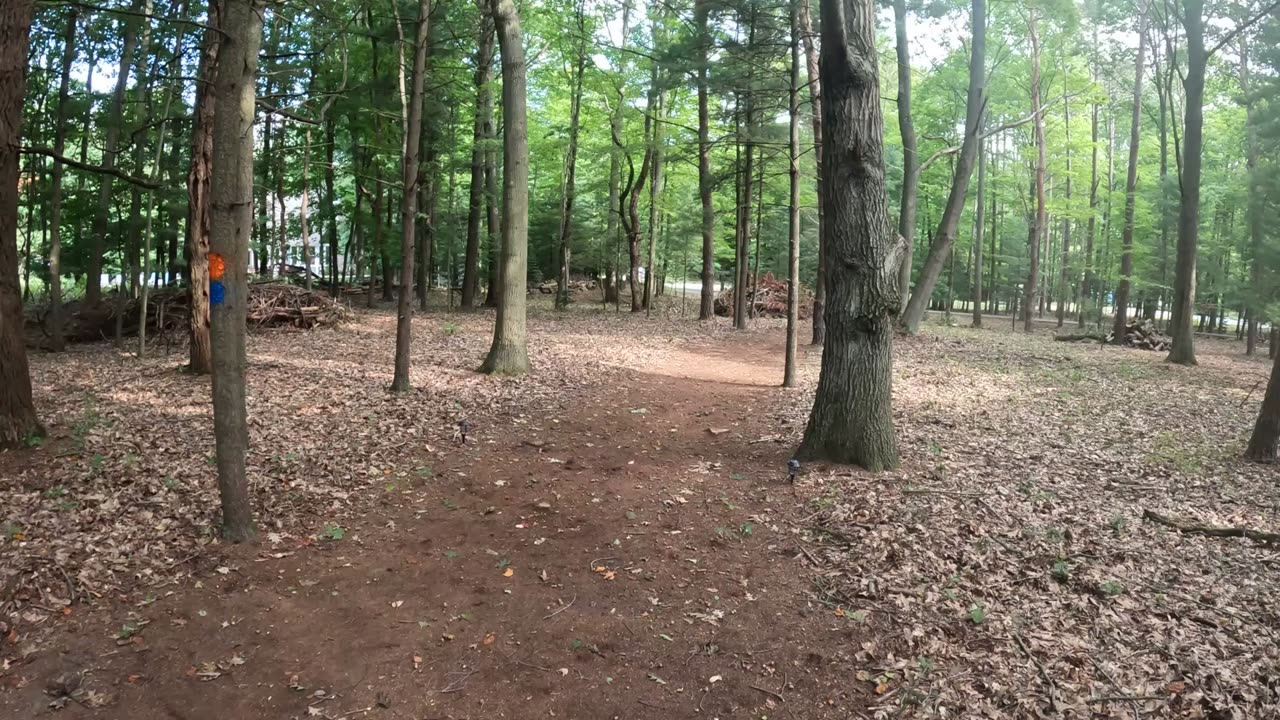 Pier Cove Paradise -- Inner Loop ... Summer of 2025