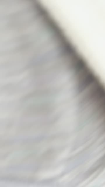 This Cat Loves Road Trips