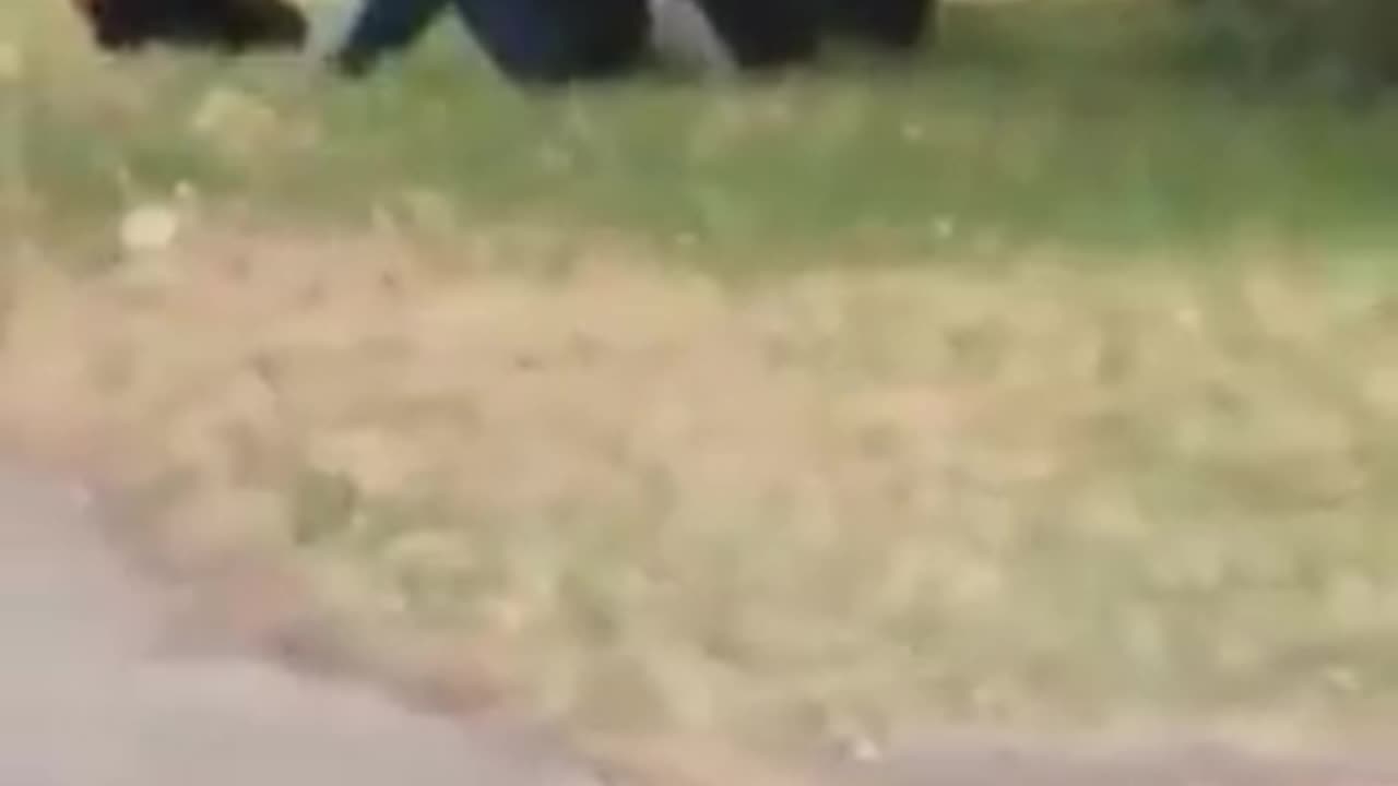 Childrens park taken over by