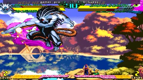 gamer_pro vs D_Guess