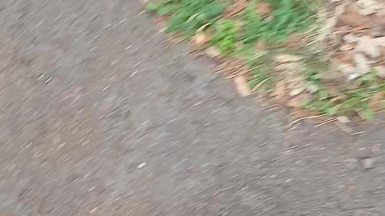 Noone can fing water in this waterless cemetery