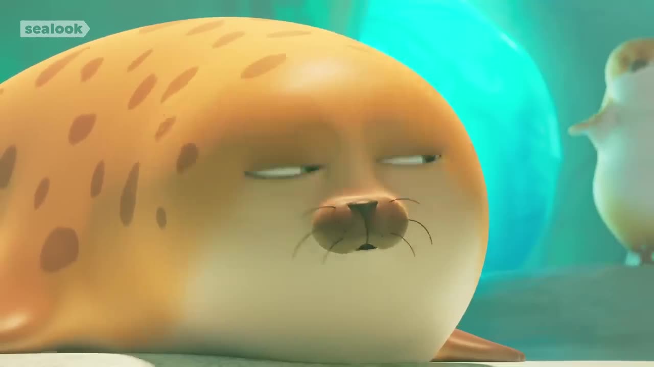 Lo-fi Seal🎵ㅣSEALOOKㅣEP.18