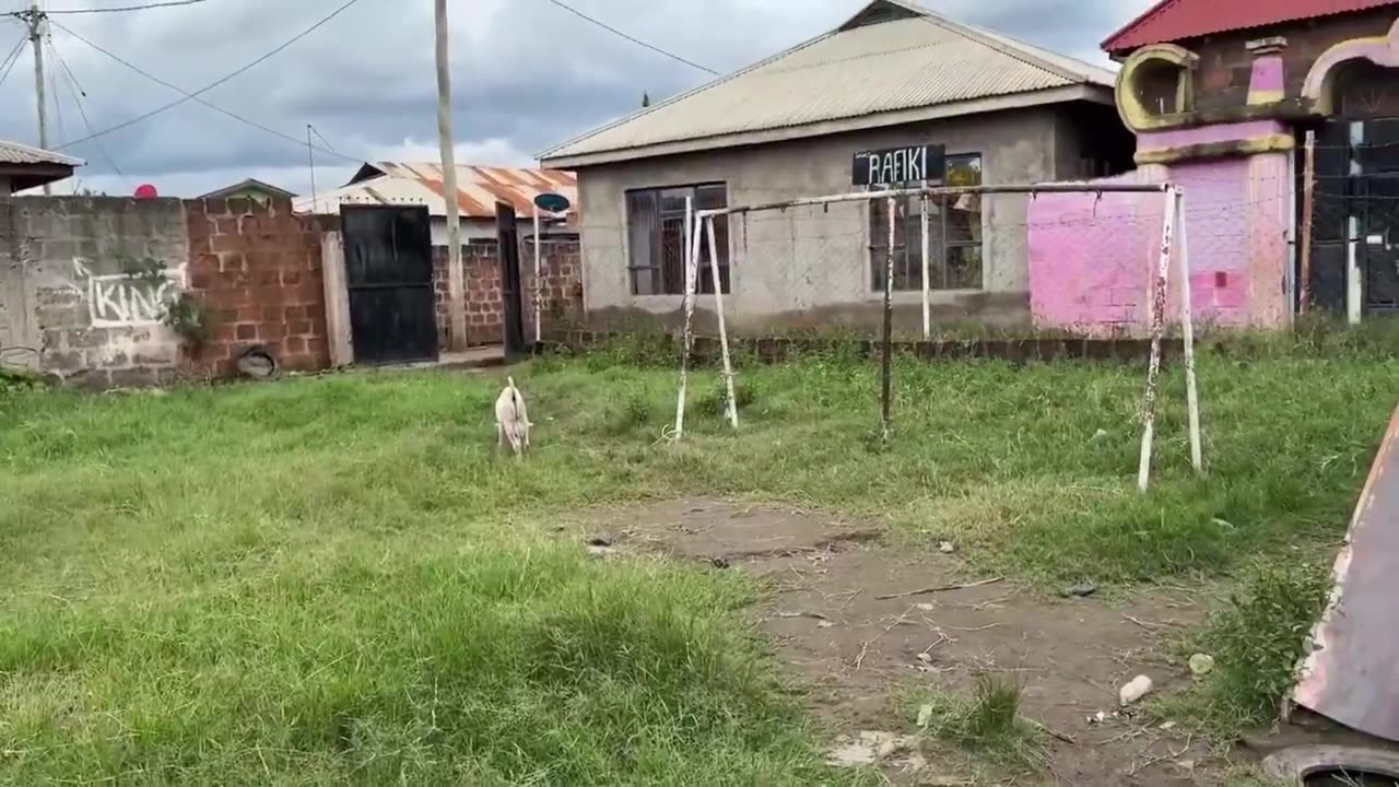 Jakub Jahl Has Never Visited The Kilimanjaro Shelter, So..