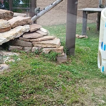 May 2025 Pueblo Zoo Trip Part 3