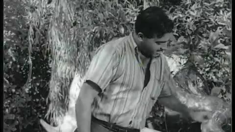 Halk Çocuğu - Türk Filmi