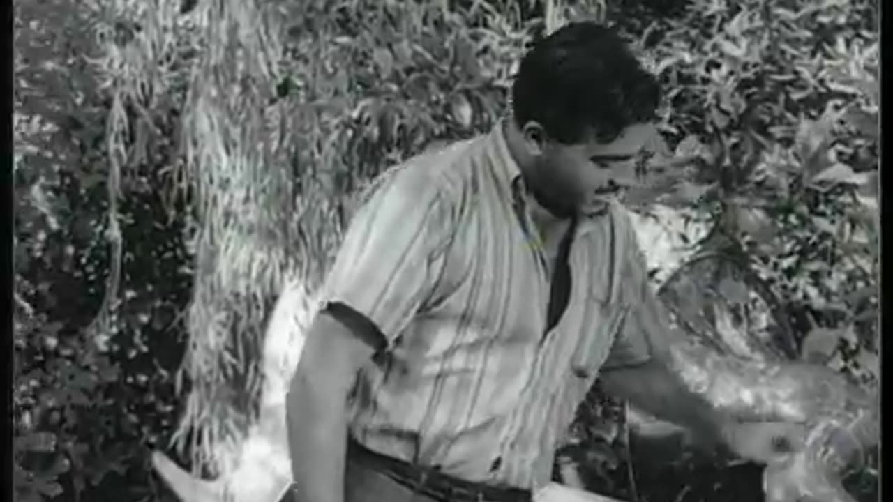 Halk Çocuğu - Türk Filmi