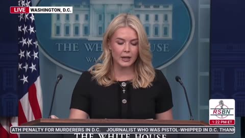 'We know it's not a gun thing': Reporter invited by Karoline Leavitt rants on shootings