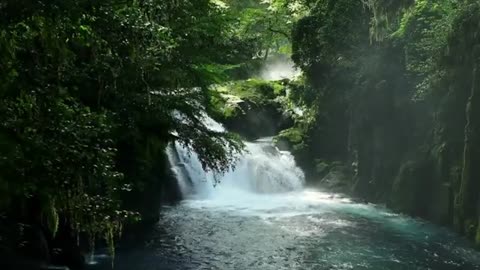 4k Video Ultra HD Nature Forest The most beautiful places on Earth