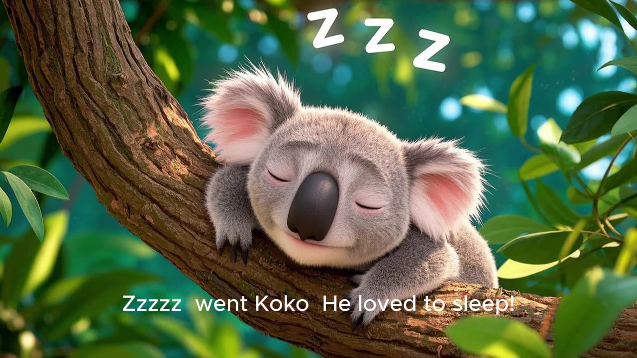 Koko the lazy koala