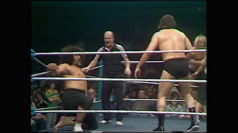 WWF All Star Wrestling Feb 16 1980